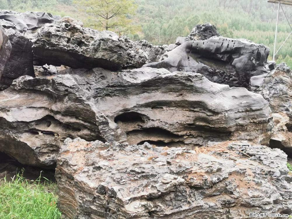 风景石、假山石大量有货,有需要的欢迎联系 - 新手上路 - 西宁生活社区 - 西宁28生活网 xn.28life.com