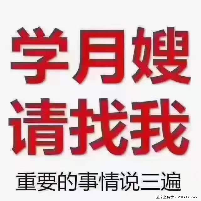 为什么要学习月嫂，育婴师？ - 其他广告 - 广告专区 - 西宁分类信息 - 西宁28生活网 xn.28life.com