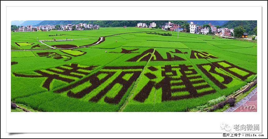 【春天，广西桂林灌阳县向您发出邀请！】开篇 - 游山玩水 - 西宁生活社区 - 西宁28生活网 xn.28life.com