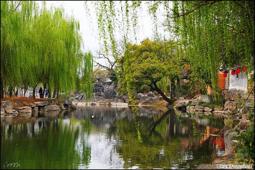 【春天,广西桂林灌阳县向您发出邀请!】江口老街又逢春 - 游山玩水 - 西宁生活社区 - 西宁28生活网 xn.28life.com