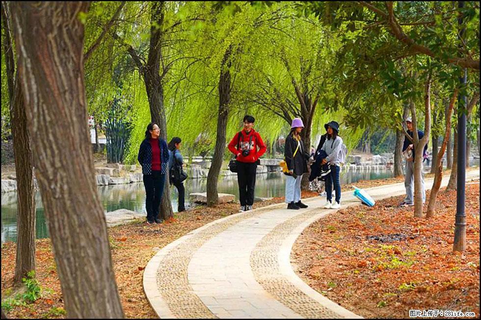 【春天,广西桂林灌阳县向您发出邀请!】江口老街又逢春 - 游山玩水 - 西宁生活社区 - 西宁28生活网 xn.28life.com