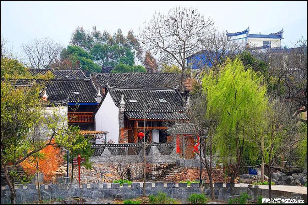 【春天,广西桂林灌阳县向您发出邀请!】江口老街又逢春 - 游山玩水 - 西宁生活社区 - 西宁28生活网 xn.28life.com