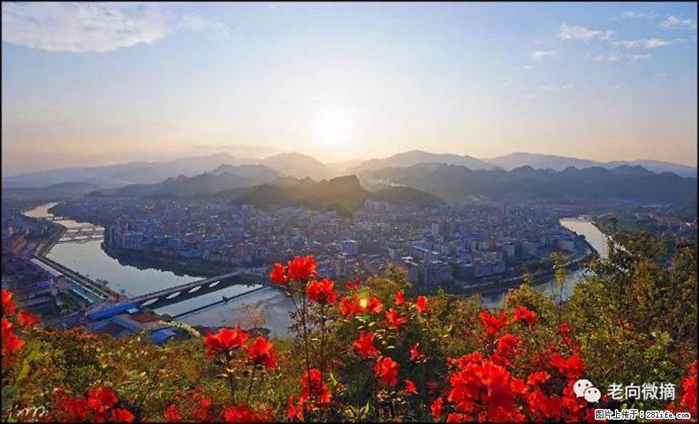 【春天，广西桂林灌阳县向您发出邀请！】登麒麟山，相约映山红 - 游山玩水 - 西宁生活社区 - 西宁28生活网 xn.28life.com