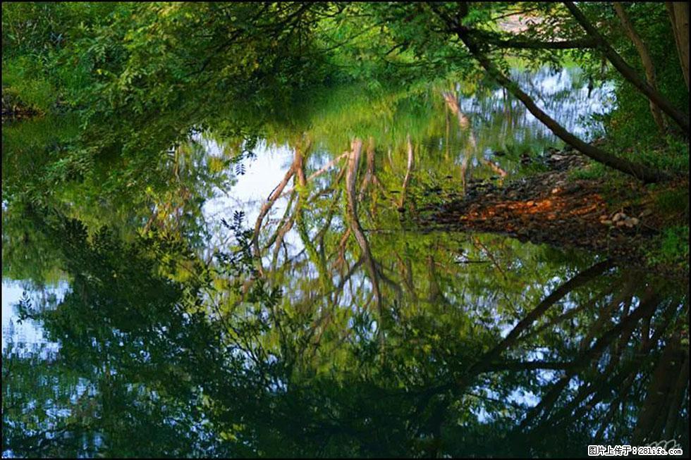 【春天,广西桂林灌阳县向您发出邀请!】熊家寨湿地公园 - 游山玩水 - 西宁生活社区 - 西宁28生活网 xn.28life.com