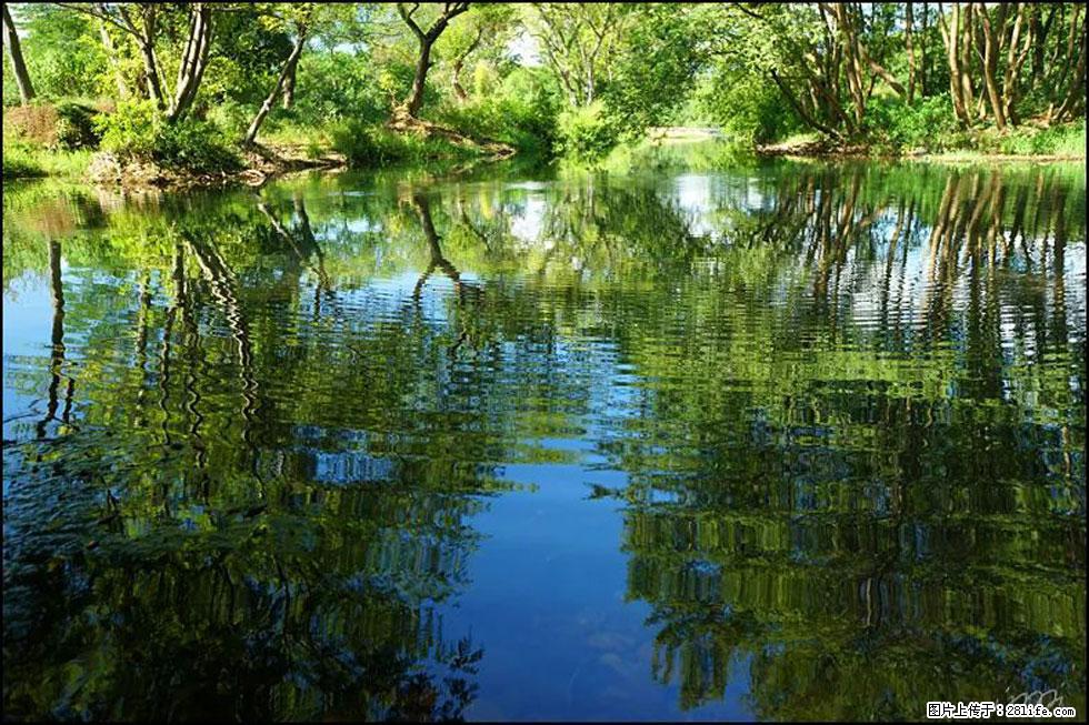 【春天,广西桂林灌阳县向您发出邀请!】熊家寨湿地公园 - 游山玩水 - 西宁生活社区 - 西宁28生活网 xn.28life.com