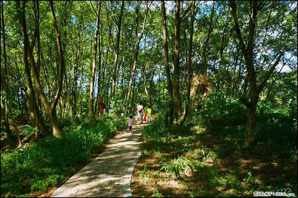 【春天,广西桂林灌阳县向您发出邀请!】熊家寨湿地公园 - 游山玩水 - 西宁生活社区 - 西宁28生活网 xn.28life.com