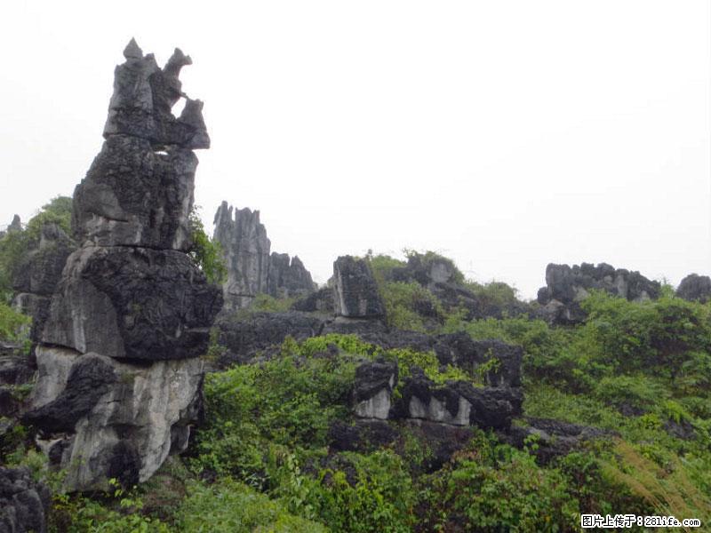 桂林旅游名城景点:灌阳文市石林 - 游山玩水 - 西宁生活社区 - 西宁28生活网 xn.28life.com
