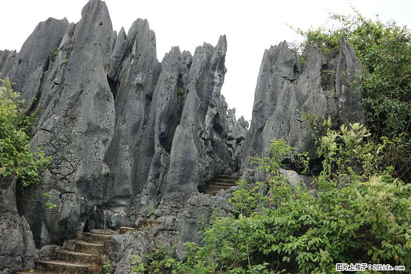 桂林旅游名城景点:灌阳文市石林 - 游山玩水 - 西宁生活社区 - 西宁28生活网 xn.28life.com