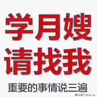 为什么要学习月嫂,育婴师? - 西宁28生活网 xn.28life.com