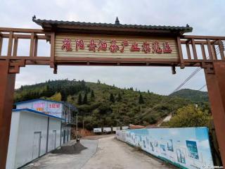 【灌阳县油茶产业示范区】一个有着充实的精神生活的人,对待身外之物自会有一种淡泊的态度 - 西宁28生活网 xn.28life.com