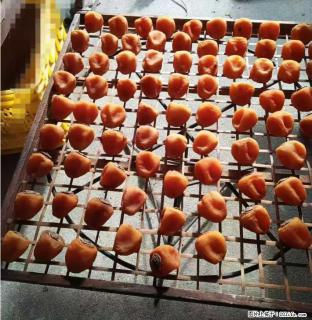 广西桂林平乐桥亭【柿饼之乡】2025年纯手工制作、无任何添加剂的第一批柿饼准备上市了，欢迎联系订购！ - 西宁28生活网 xn.28life.com