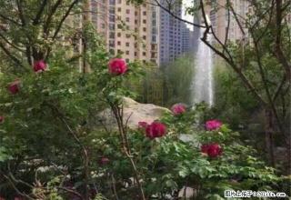 (单间出租)香格里拉花园3室160平豪华装修拎包入住 - 西宁28生活网 xn.28life.com
