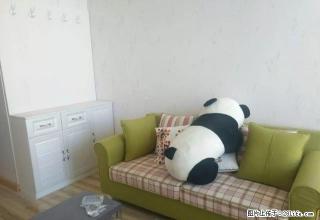 城西 繁华地段 精装一居室 全新家具 拎包入住 随时看房 - 西宁28生活网 xn.28life.com