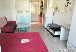 滨河南路城市先锋精装公寓带全套家具拎包入住 - 西宁28生活网 xn.28life.com