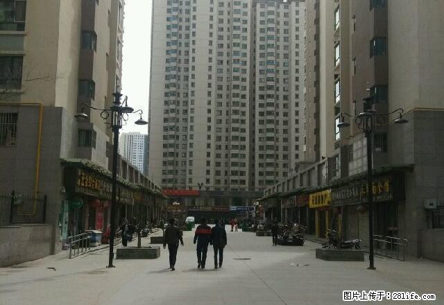 (单间出租)安泰华庭 3室2厅2卫寻求合租伙伴! 男女不限 - 房屋出租 - 房屋租售 - 西宁分类信息 - 西宁28生活网 xn.28life.com