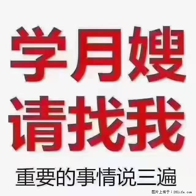 【招聘】月嫂,上海徐汇区 - 职场交流 - 西宁生活社区 - 西宁28生活网 xn.28life.com