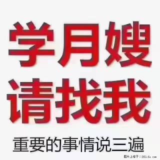 【招聘】月嫂，上海徐汇区 - 西宁28生活网 xn.28life.com