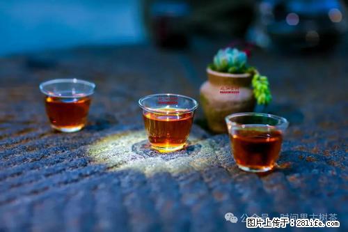 时间果百年古树2025年春红茶 - 购物交流 - 西宁生活社区 - 西宁28生活网 xn.28life.com