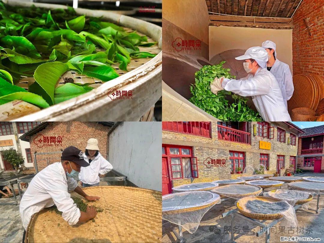 时间果百年古树龙珠普洱生茶 - 购物交流 - 西宁生活社区 - 西宁28生活网 xn.28life.com