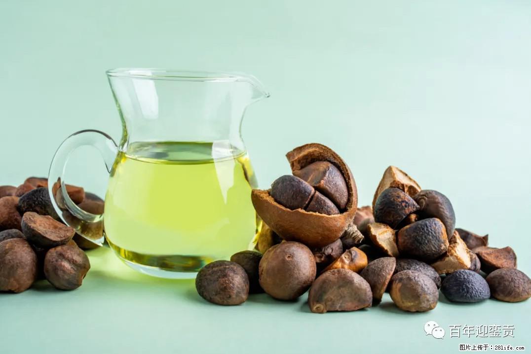 世界没有真相，只有认知，最好的食用油是中国的山茶油！ - 西宁生活资讯 - 西宁28生活网 xn.28life.com
