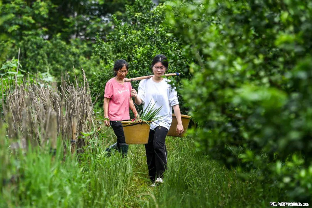 全网追的“扁担女孩”,找了一份暑假工,时薪12元 - 西宁生活资讯 - 西宁28生活网 xn.28life.com