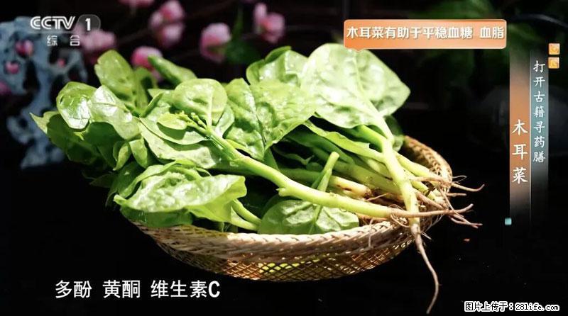 比牛奶补钙还厉害!凉血解毒、稳血糖...这菜冬天必吃,很多人却当草 - 西宁生活资讯 - 西宁28生活网 xn.28life.com