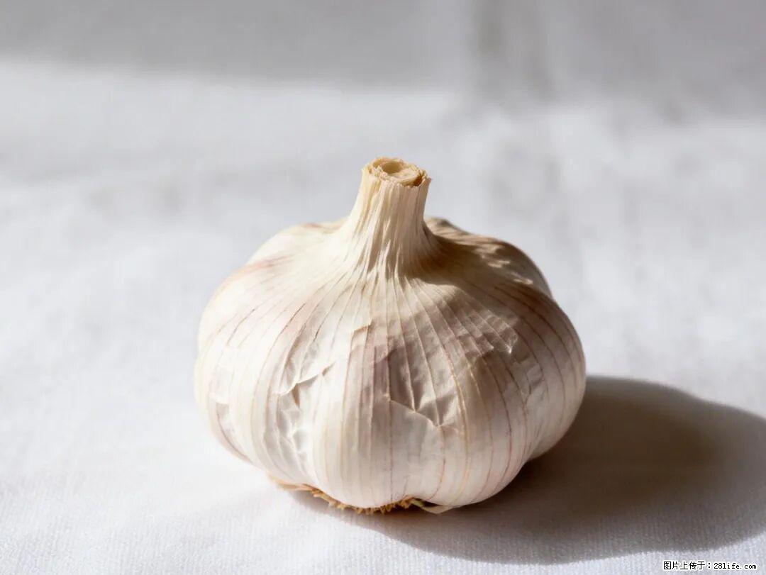 关于大蒜，除了“天然抗生素”，这4个谣言更该警惕! - 西宁生活资讯 - 西宁28生活网 xn.28life.com