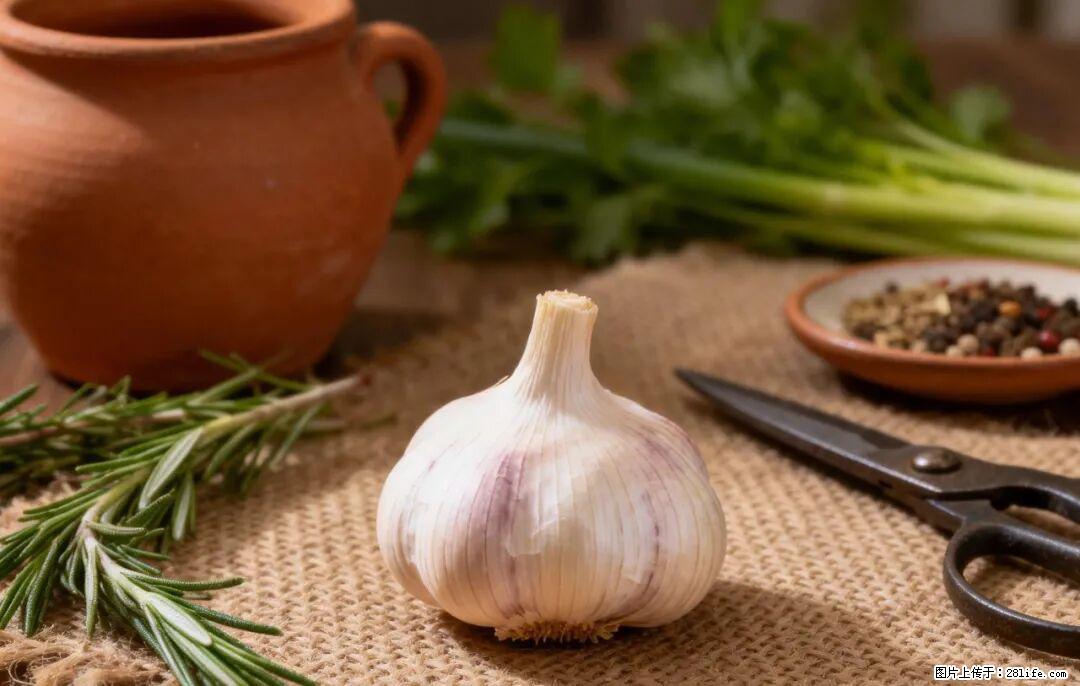 关于大蒜，除了“天然抗生素”，这4个谣言更该警惕! - 西宁生活资讯 - 西宁28生活网 xn.28life.com