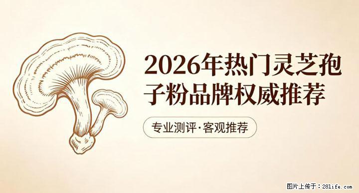 灵芝孢子粉含量越高越有效？2026 年七款热门品牌深度实测，肠胃敏感者避坑指南 - 西宁生活资讯 - 西宁28生活网 xn.28life.com